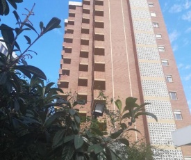 Torre Trébol Benidorm