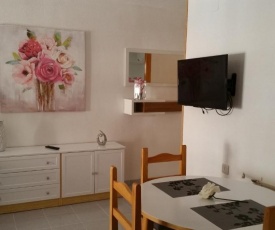 Homely appartment playa Acequion