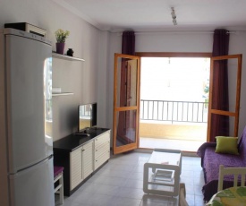 Apartment Viñamar 3